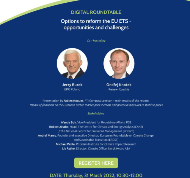 Webinar Energy Post ws. reformy EU ETS