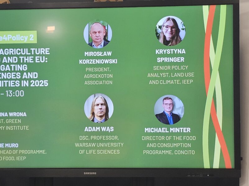 CAKE on the Think2030 Dialogue Poland